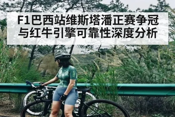 F1巴西站维斯塔潘正赛争冠与红牛引擎可靠性深度分析